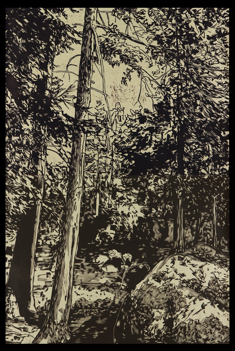 ADK Flume Trail 1, 2018, relief print on rice paper, 72 x 48 inches